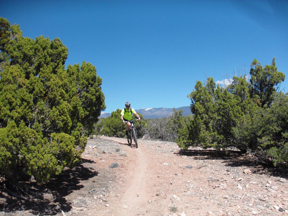 A mountain biker rides along a dirt trail surrounded by lush greenery and shrubs, with a clear blue sky and mountains in the background. La Tierra mountain bike trail.