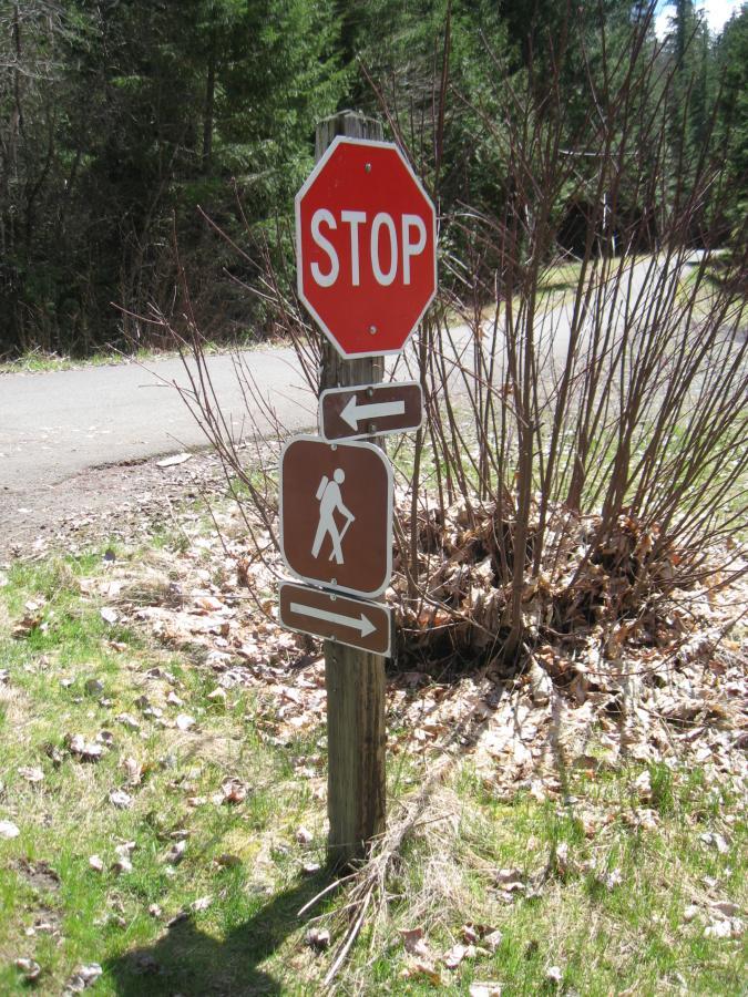 A stop sign and trail signage on a wooden post, indicating a stop for vehicles and directions for hikers. The background features a forested area, with scattered leaves on the ground and a clear path nearby. Middle Fork Trail mountain bike trail.
