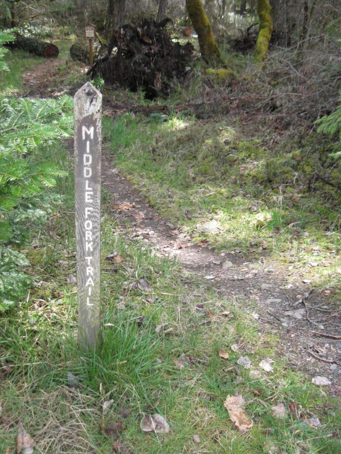 A wooden trail marker labeled "Middle Fork Trail" stands at the fork of a dirt path surrounded by greenery and trees. The trail diverges into two directions, with grass and fallen leaves visible along the edges of the path. Middle Fork Trail mountain bike trail.