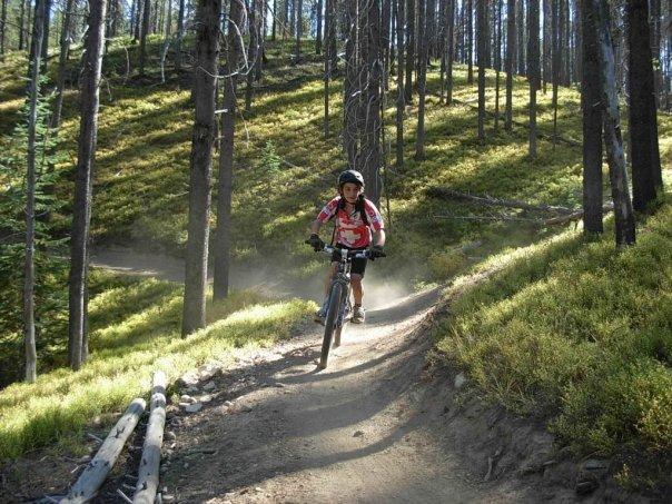 A mountain biker rides along a winding dirt trail in a forested area, surrounded by tall trees and green underbrush. Dust is kicked up from the trail as the cyclist navigates the path, wearing a helmet and bright cycling gear. Sunlight filters through the trees, creating a vibrant and lively atmosphere.