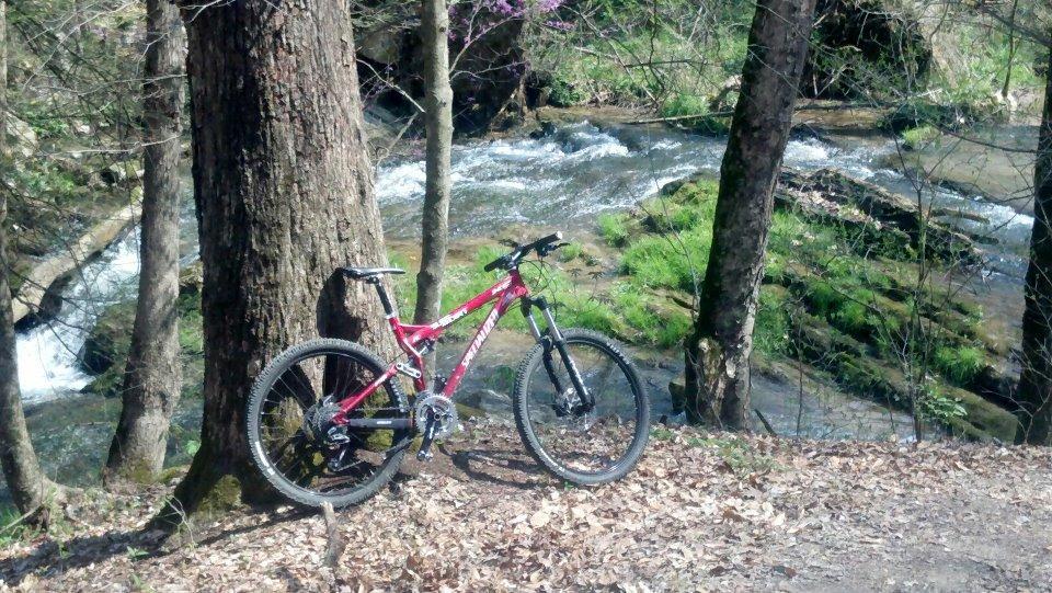 A mountain bike resting against a large tree near a flowing stream, surrounded by greenery and bare trees. The scene is set in a tranquil outdoor environment, suggesting an ideal spot for cycling or nature appreciation. Sugar Hollow Park mountain bike trail.