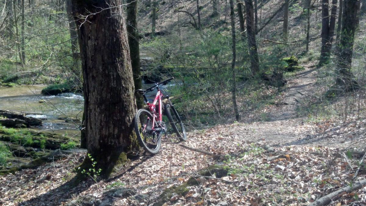 A mountain bike leaning against a tree in a forest setting, with a small stream nearby and a dirt path leading into the woods. The ground is covered with fallen leaves, and the trees are beginning to show signs of spring. Sugar Hollow Park mountain bike trail.