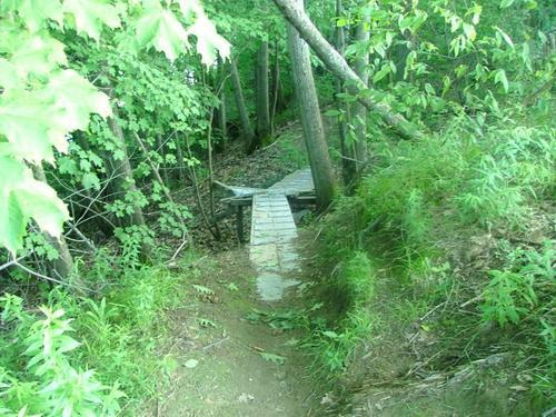 Wooden bridge over a small creek, surrounded by lush green foliage and trees, leading into a forested area. Prides Corner / Corsetti