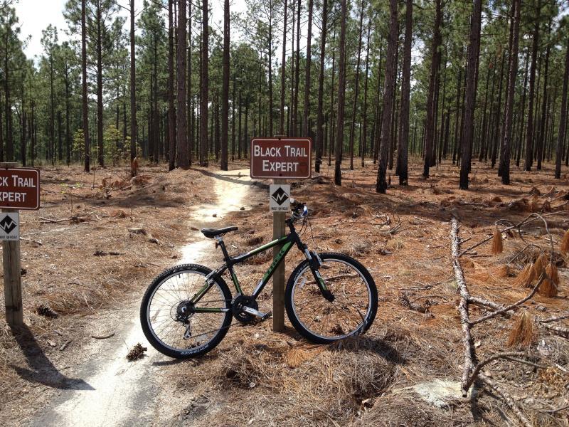A mountain bike resting on a sandy trail in a forest, with two signs indicating the trail is designated for expert riders. The area features tall pine trees and a natural, unpaved path surrounded by pine needles and fallen branches. Smith Lake mountain bike trail.