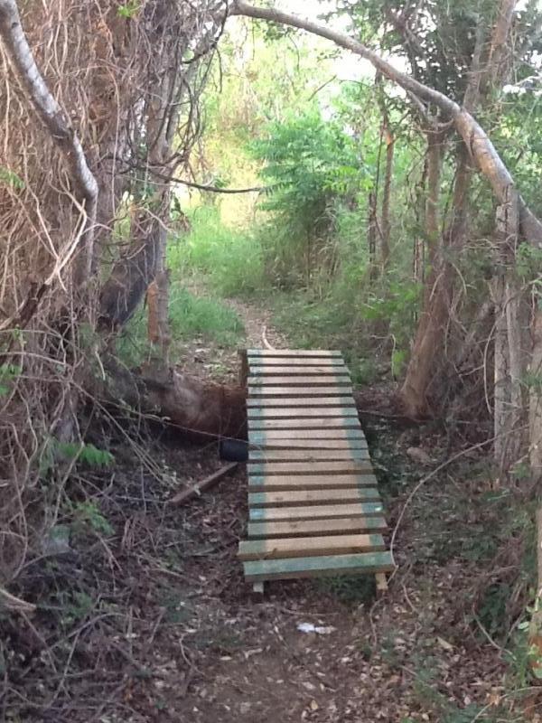 A wooden bridge made of planks crosses a small gap in a wooded area, surrounded by dense greenery and trees. The path leads further into the forest, with sunlight filtering through the foliage. The Crab (El Cangrejo) mountain bike trail.