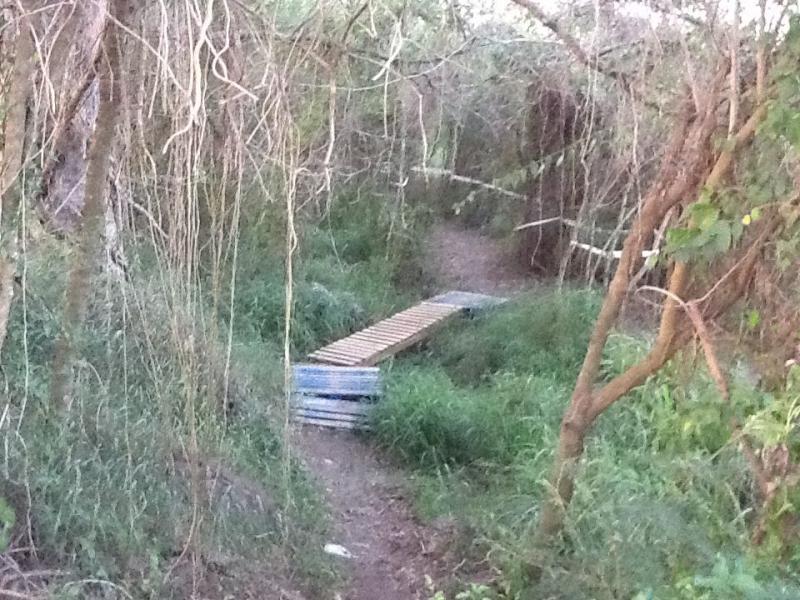 A narrow path through a dense, green forest area, featuring a simple wooden bridge made from planks and metal supports to cross a small, grassy depression. The surrounding vegetation includes low bushes and tree branches, creating a natural, secluded atmosphere. The Crab (El Cangrejo) mountain bike trail.