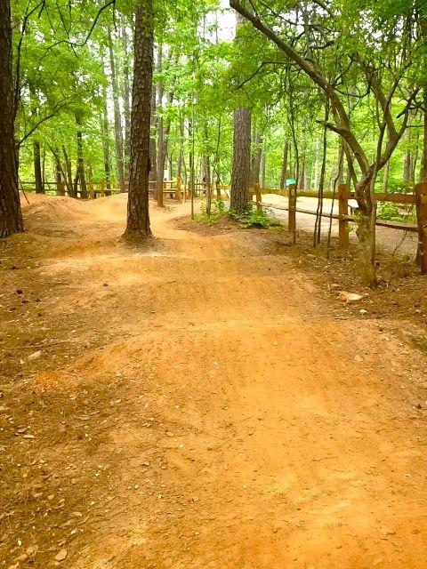 A dirt path winding through a wooded area, flanked by tall trees and a wooden fence. The path has two distinct routes, with one curving off to the left. The ground is covered in a mix of brown dirt and scattered leaves, creating a natural outdoor trail environment. Big Creek mountain bike trail.
