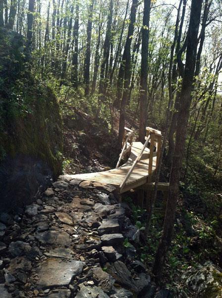 Wooden bridge on a rocky path surrounded by trees in a forest. Sunlight filters through the leaves, illuminating the trail leading to the bridge. Rocky Knob Park mountain bike trail.