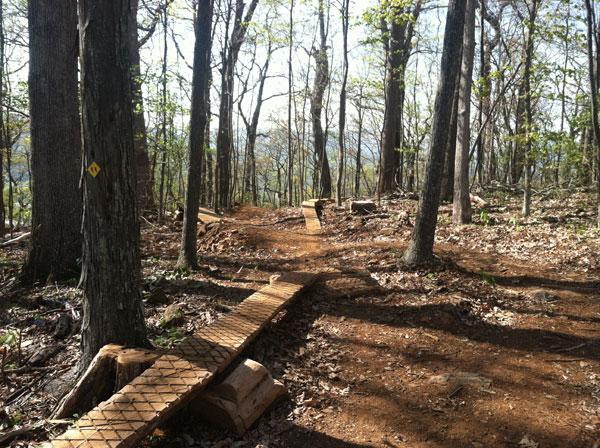 A winding trail through a wooded area, featuring wooden planks forming a pathway. The ground is covered with brown soil and scattered leaves, and tall trees with budding leaves line the path, creating a natural, serene environment. The sun shines through the branches, illuminating the trail ahead. Rocky Knob Park mountain bike trail.