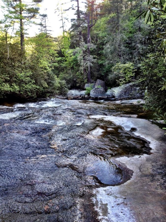 A scenic view of a flowing river surrounded by lush green trees and rocky shorelines. The sunlight filters through the foliage, highlighting the water's surface and the textures of the rocks. Riding Ford #450 mountain bike trail.