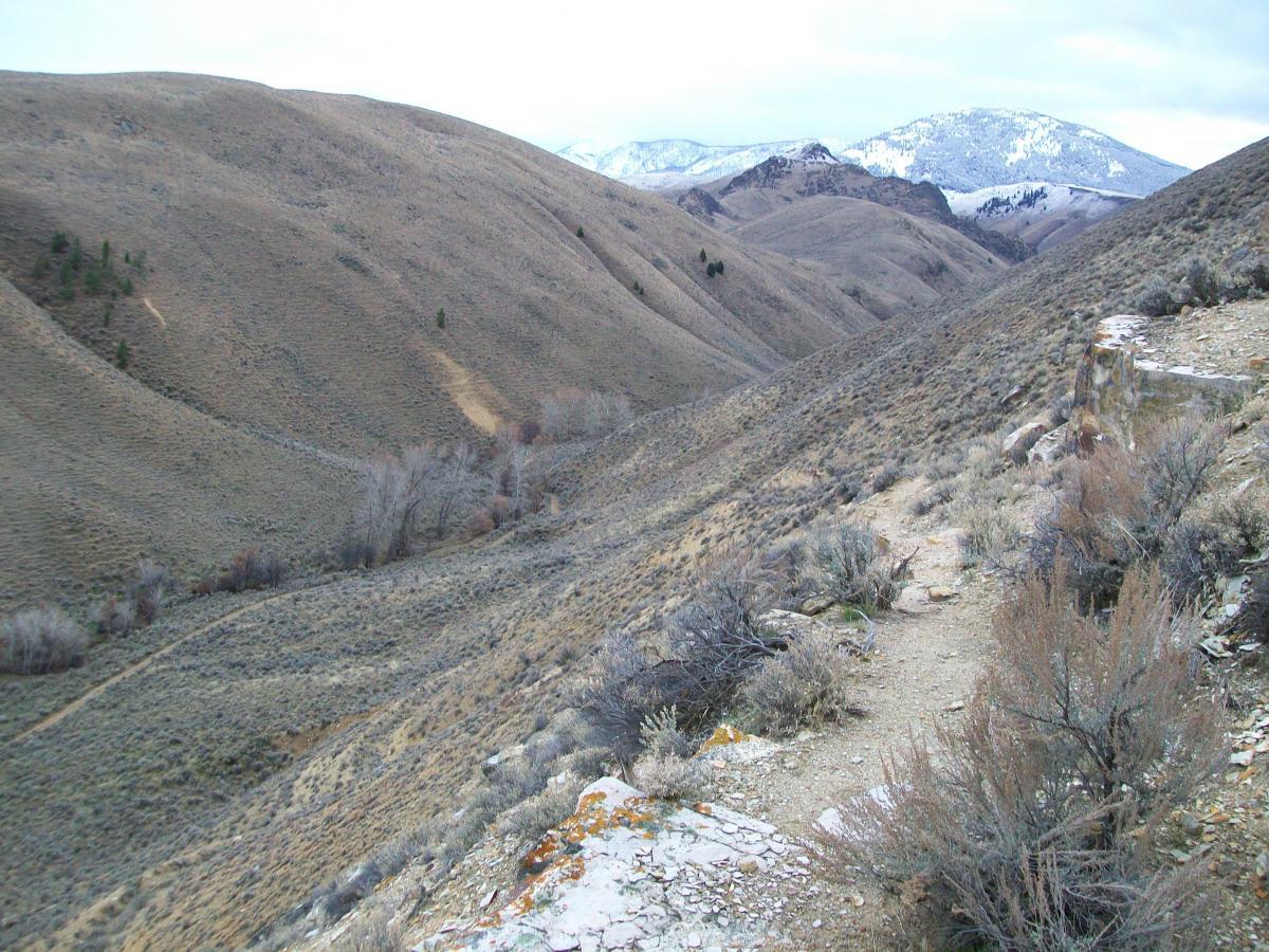 A scenic view of rolling hills and mountains in a rugged landscape, featuring sparse vegetation and a winding path through the valley. The mountains in the background are capped with snow, and the sky is overcast, creating a serene and natural atmosphere. Mulkey Creek mountain bike trail.