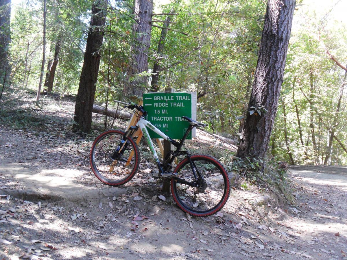 A mountain bike parked near a trail sign indicating the Braille Trail (1.5 miles), Ridge Trail, and Tractor Trail (0.5 miles) in a wooded area with trees and foliage around. Forest Of Nisene Marks and Soquel Demonstration Forest mountain bike trail.