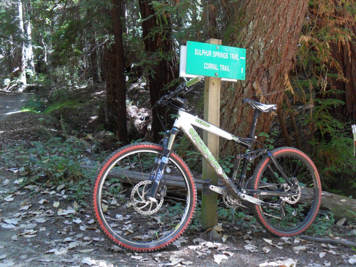 A mountain bike leaning against a trail sign for Sulphur Springs Trail and Corral Trail, surrounded by tall trees and fallen leaves on the forest floor. Forest Of Nisene Marks and Soquel Demonstration Forest mountain bike trail.
