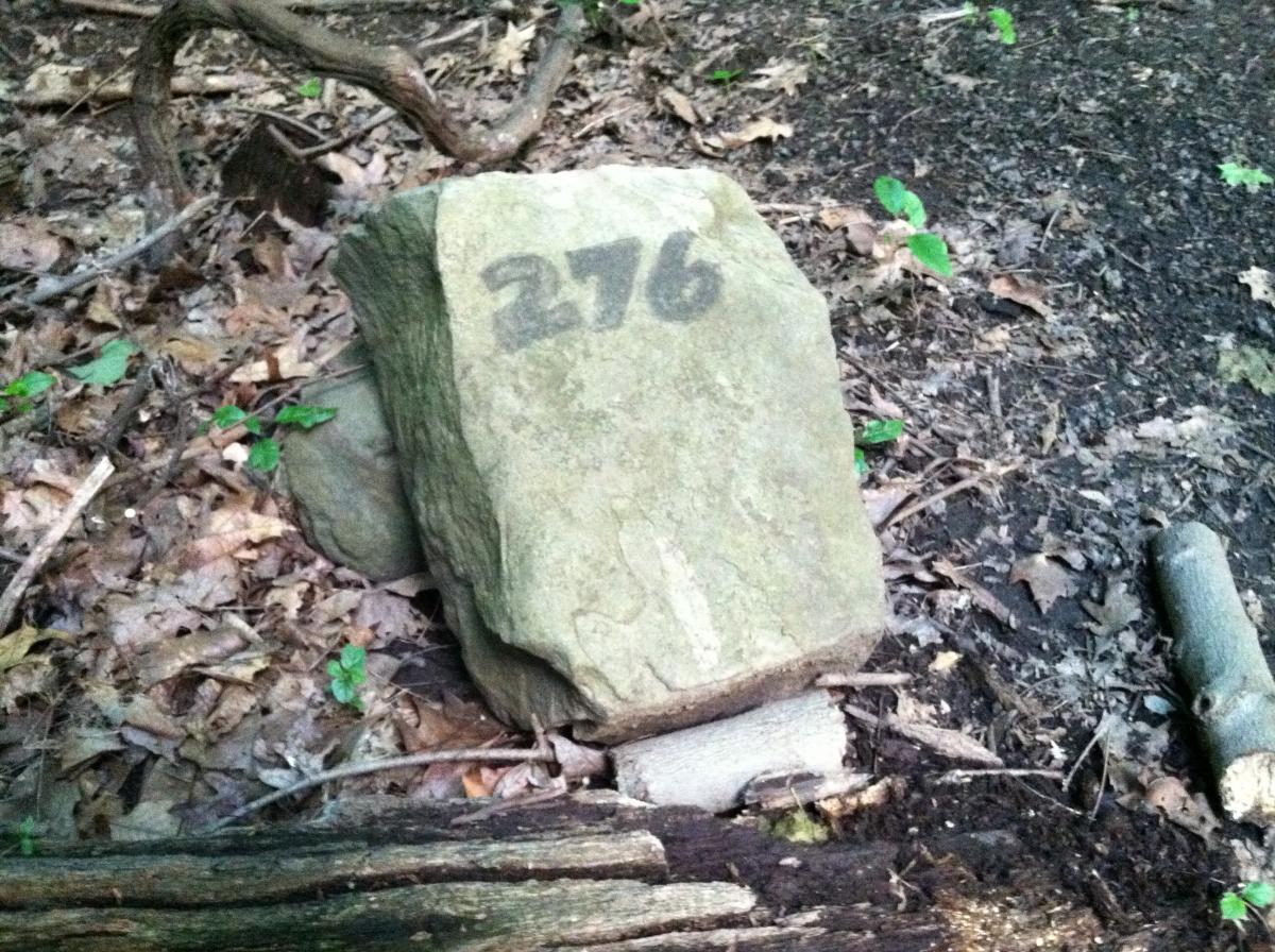 A large, weathered rock partially covered in leaves and dirt, featuring the number "276" painted in black on its side. Surrounding vegetation includes small green plants and fallen twigs. Frick Park mountain bike trail.