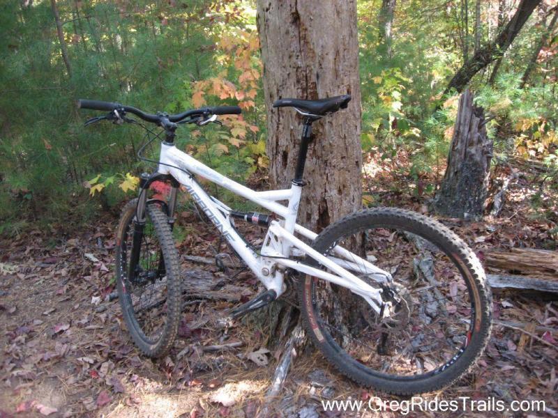 Airborne Zeppelin Elite: A white mountain bike leaning against a tree in a wooded area, surrounded by autumn foliage with colorful leaves on the ground. The bike features thick tires and a modern frame design, showcasing its suitability for off-road trails.