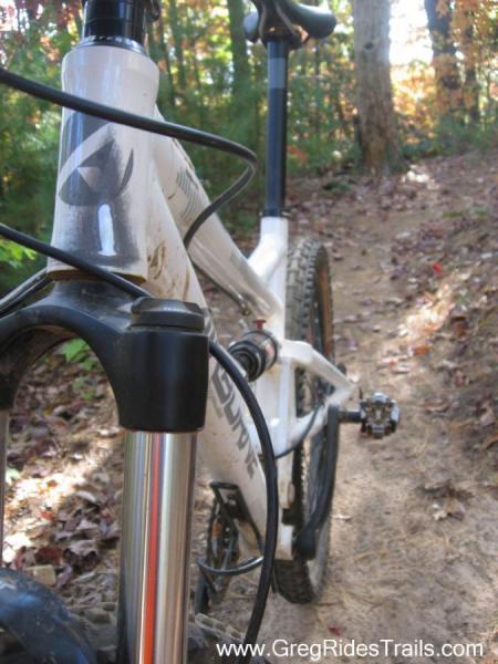 Airborne Zeppelin Elite: Alt text: A close-up view of a mountain bike positioned on a dirt trail, showcasing its front fork and handlebar. The bike is partially dirty, indicating recent use, and surrounded by trees in a forested area.