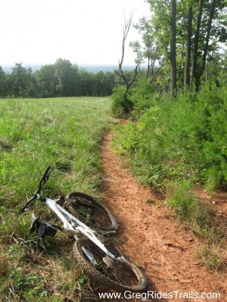 Airborne Zeppelin Elite: A mountain bike lies on its side beside a dirt trail that winds through a grassy field and forested area. The landscape features greenery and distant hills under a clear sky.