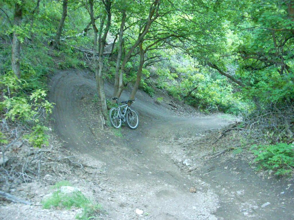 A mountain bike parked against a tree on a winding dirt trail surrounded by lush green foliage. The path curves to the right, indicating a hilly terrain suitable for biking. Bonneville Shoreline Trail - Northern Salt Lake City mountain bike trail.