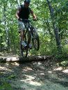 Cannondale F5: A person in a sleeveless shirt is riding a mountain bike, leaping over a log on a forest trail surrounded by trees.