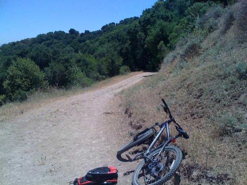 Cannondale F5: A mountain bike lies on its side beside a dirt trail surrounded by lush greenery and trees on a sunny day. The trail winds into the distance, with a clear blue sky overhead.