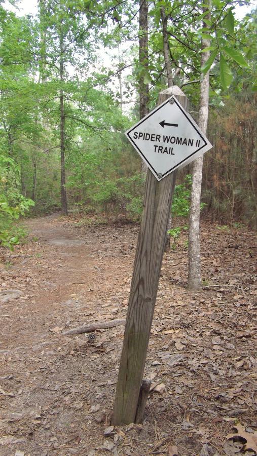 Signpost for "Spider Woman II Trail" directing hikers to the left, surrounded by a lush green forest with trees and a dirt path. Harbison State Forest mountain bike trail.