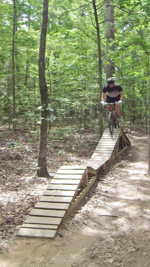 A mountain biker navigates a wooden ramp on a trail in a forest, surrounded by trees and fallen leaves. The biker is mid-jump, showcasing an adventurous moment in a natural outdoor setting. Sherman Branch Park Mtb Trail mountain bike trail.