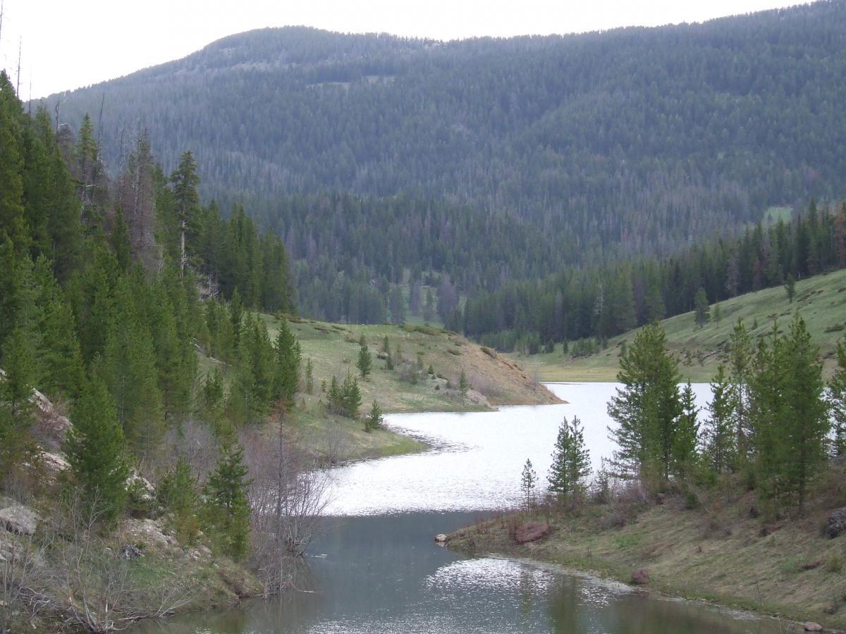 A serene landscape featuring a winding lake surrounded by lush green pine trees, with rolling hills in the background under a cloudy sky. The natural scene conveys a peaceful atmosphere in a mountainous setting. Mystic Lake mountain bike trail.