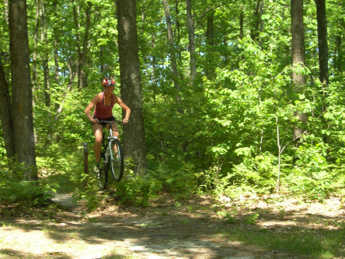 A person riding a mountain bike, airborne while navigating a dirt trail in a lush green forest. Sunlight filters through the trees, illuminating the vibrant foliage around. Lower Hermosa mountain bike trail.
