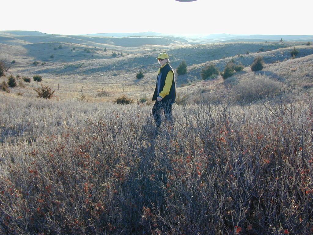 A person stands in a grassy landscape, surrounded by low bushes and shrubs, with rolling hills stretching into the distance. The scene is illuminated by bright sunlight, suggesting a clear day. The individual is wearing a yellow cap and a black and yellow vest, blending with the natural surroundings. Switchgrass mountain bike trail.