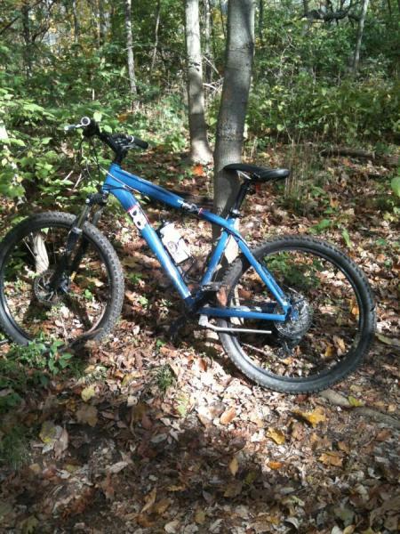 Diamondback Response: A blue mountain bike leaning against a tree in a wooded area covered with fallen leaves. The background features trees and greenery, indicating a natural outdoor setting.