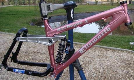 Ellsworth Rogue: An unfinished mountain bike frame in pink, mounted on a repair stand. The frame features a suspension system, with a visible shock absorber, and has a dual-frame design that includes a contrasting black rear triangle. The background includes a grassy area and a small body of water.