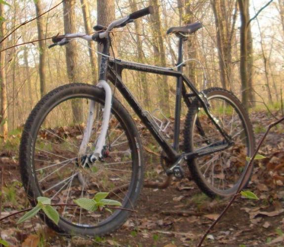 Fetish Fixation: A black mountain bike positioned on a dirt trail surrounded by trees and fallen leaves. The bike features thick tires suitable for off-road riding and is partially obscured by green foliage. The scene captures a tranquil outdoor setting, hinting at the adventure of cycling in nature.