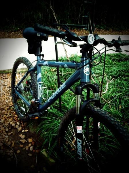 Forge Sawback 5xx: A blue mountain bike parked amidst lush green grass and rocks, showcasing its sturdy frame and front suspension. The bike features a prominent brand logo and is equipped with a front light and handlebars. A pathway is visible in the background.