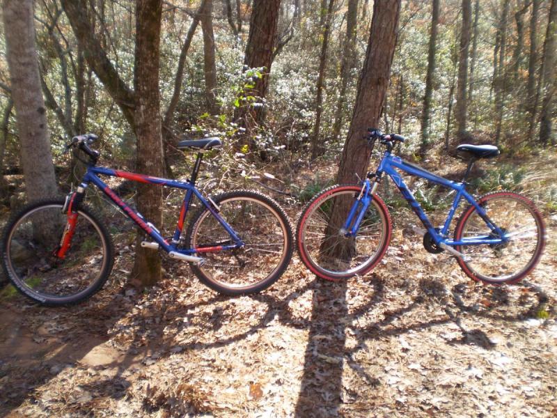 Gary Fisher Big Sur: Two mountain bikes parked side by side in a forested area, surrounded by trees and fallen leaves. One bike features a red and blue frame with thick tires, while the other is primarily blue with red accents. Sunlight filters through the trees, casting shadows on the ground.