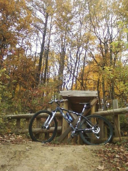 Gary Fisher Cobia: A mountain bike stands next to a wooden bridge in a forest during autumn, with vibrant orange and yellow leaves on the trees. The scene captures the peaceful beauty of nature and the adventure of cycling in a wooded area.