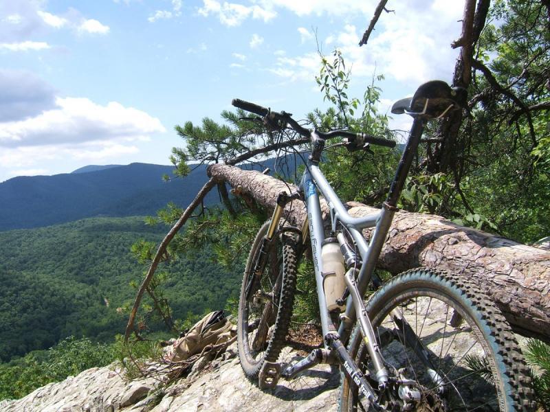 Gary Fisher HiFi Deluxe: A mountain bike resting against a fallen tree trunk, overlooking a scenic view of rolling green hills and distant mountains under a partly cloudy sky.