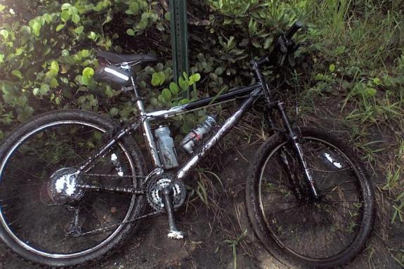 Gary Fisher Marlin: A black mountain bike lying on the ground, partially obscured by grass and foliage. The bike has mud on its tires and frame, and two water bottles are secured in the frame. A vertical signpost is visible in the background.