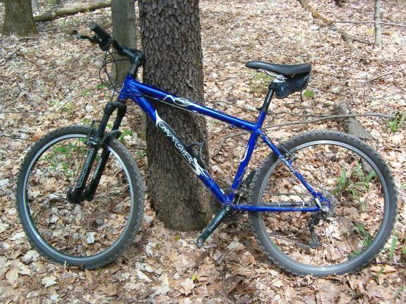 Gary Fisher Marlin: A blue mountain bike leaning against a tree in a forested area, surrounded by fallen leaves and greenery. The bike features thick tires and a sturdy frame, indicating it is designed for off-road terrain.