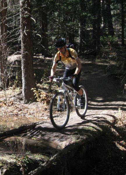 Gary Fisher Paragon: A person riding a mountain bike on a wooded trail, crossing over a small log bridge. The cyclist is wearing a helmet and a yellow shirt and is surrounded by trees and autumn foliage. Sunlight filters through the leaves, casting dappled shadows on the ground.