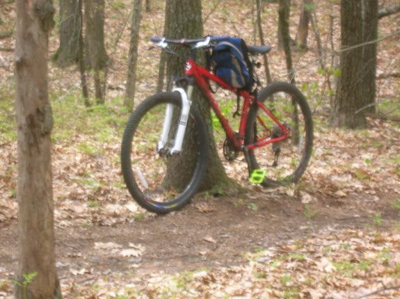Gary Fisher Paragon: A red mountain bike leaning against a tree on a forest trail, surrounded by fallen leaves and trees. A blue backpack is secured to the bike.