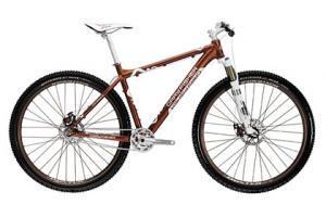 Gary Fisher Rig 29er: A brown mountain bike with a sleek design, featuring a lightweight aluminum frame, front suspension fork, and disc brakes. The bike is positioned at a slight angle against a plain white background.