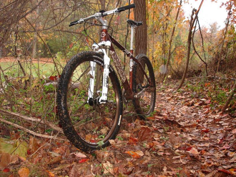 Gary Fisher Rig: A mountain bike rests among fallen leaves and greenery on a narrow trail, surrounded by trees and autumn foliage. The ground is damp, and the bike features a dark brown frame with white components, showcasing a rugged design suitable for off-road cycling.