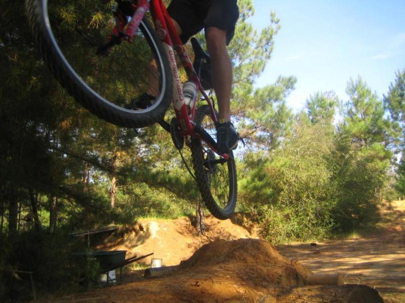 Gary Fisher Tarpon: A mountain biker jumping off a dirt ramp in a wooded area, with trees in the background and the bike's front wheel lifted off the ground.