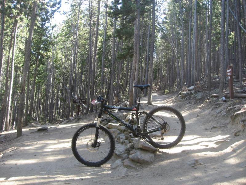 Giant AC: A black mountain bike is resting on a rocky section of a dirt trail surrounded by tall pine trees. The path forks in the background, leading into a forested area. A sign is visible on the right side, indicating the direction of the trail.