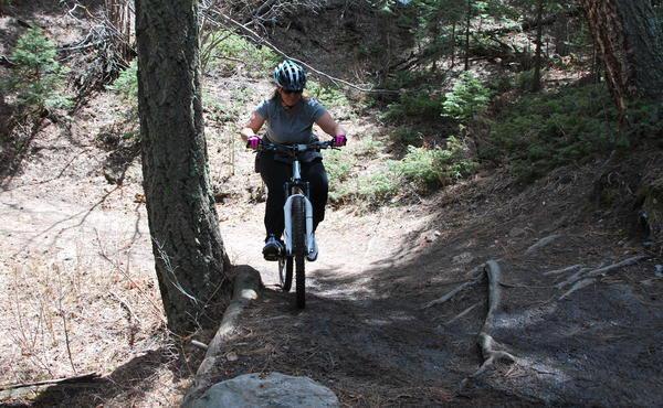 Giant Ranier: A mountain biker navigating a dirt trail surrounded by trees, riding over roots and rocks. The rider is wearing a helmet and gloves, focused on the path ahead. Sunlight filters through the leaves, illuminating the rugged terrain.