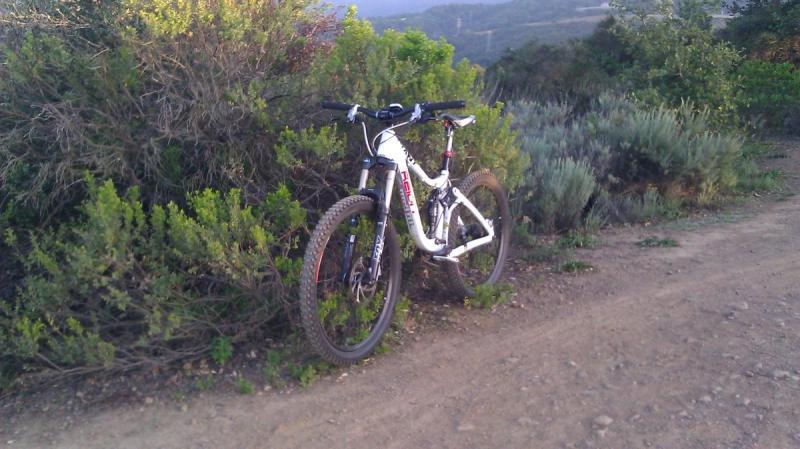 Giant Reign 2: A mountain bike leaning against a bush along a dirt trail, surrounded by greenery and shrubs. In the background, a hilly landscape is visible under a clear sky.