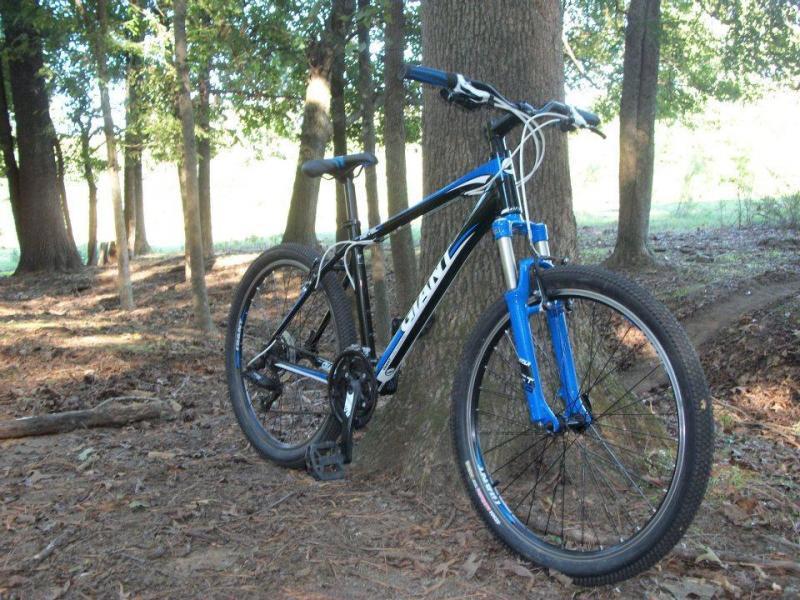 Giant Revel 2: A black and blue mountain bike leaning against a tree in a forested area, surrounded by trees and foliage. The bike features large tires and front suspension, resting on a dirt path with a soft underlayer of leaves and pine needles. Sunlight is filtering through the trees in the background, creating a natural and serene atmosphere.