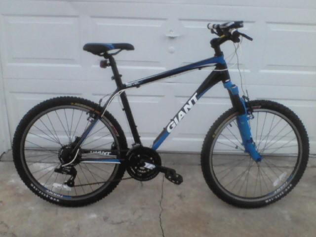 Giant Revel 2: A black and blue mountain bike with "Giant" branding, featuring thick tires and front suspension, positioned against a white garage door.