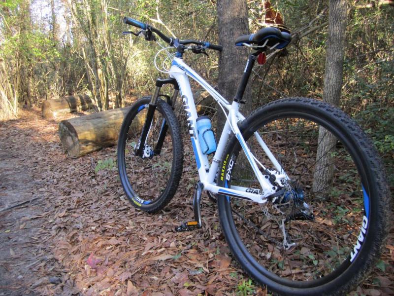 Giant Talon 29er: A white and blue mountain bike is parked on a dirt trail surrounded by tall trees and fallen logs. The ground is covered with autumn leaves, and a water bottle is attached to the bike frame.