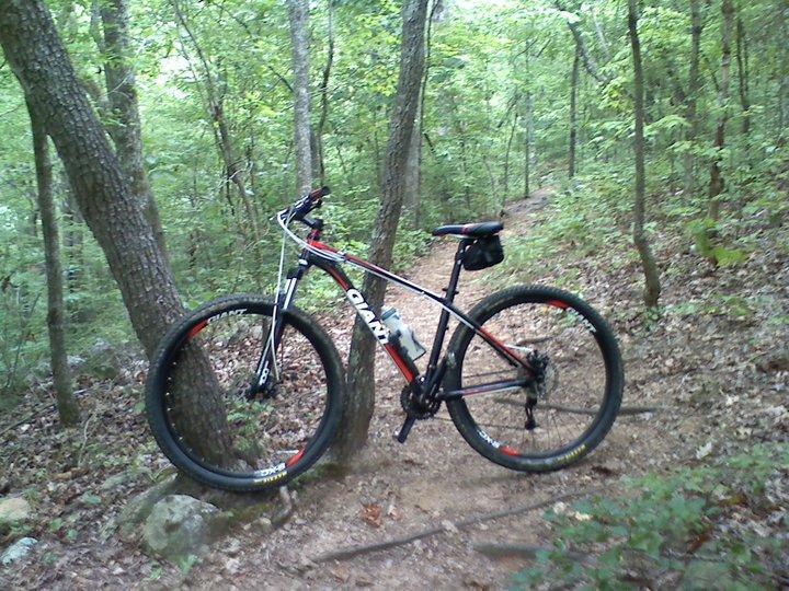 Giant Talon 29er: A mountain bike leaning against a tree on a dirt trail surrounded by lush green foliage in a forested area. The bike features prominent tires and a sleek frame, indicating it's designed for off-road riding.